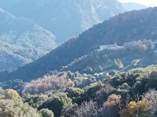Appartement avec vue sur la montagne - Vico - 3