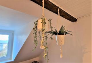 liebenswertes Apartment 10 Minuten zur Altstadt - Coblença - 1