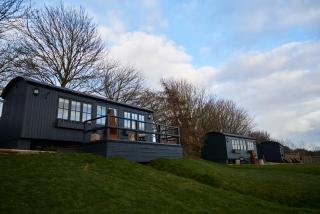 Hog Deer Creek - At Port Lympne Reserve - 4