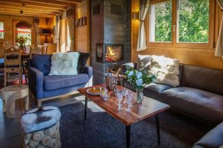Lodge le Chevreuil - OVO Network - Le Grand-Bornand - 0