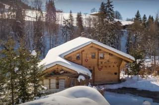Lodge le Chevreuil - OVO Network - Le Grand-Bornand - 9