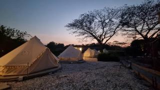 Cat A Camp - Khao Yai - - 0