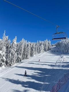 Apartmani NLUX and SPA - Kopaonik - 3