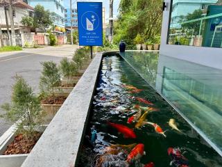 Sun Inn - Songkhla - 7