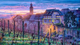 Remparts de Riquewihr - Le Renard & les Raisins - Riquewihr - 9