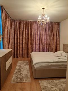 Monica City Apartament - Timişoara - 9