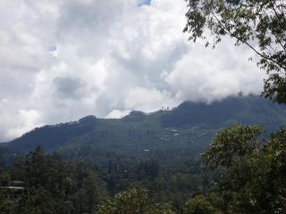 Pebbles Holiday Bungalow Bandarawela - 5
