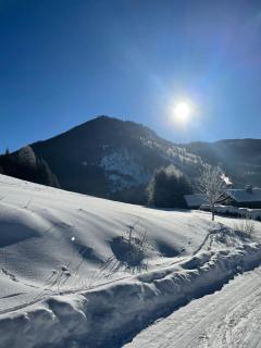 Frein Chalets - Kaltenbach - 7
