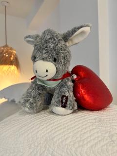 Le Refuge de l'Âne Carotte Aubagne-Cassis-Aix en Provence - 9