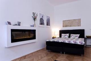 Prague Center Apartment with Fireplace - Prag - 0