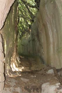 Casa del Sorriso - 9