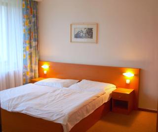 Hotel SOREA URÁN - Tatranská Lomnica - 1
