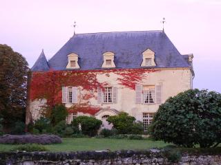Gite Chateau de Chaintres - 6