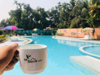 Tea Heaven Resort - 7