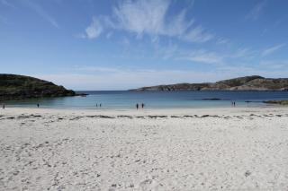 Thistle Cottage - 2