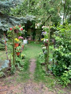 Apartament LORD - Toruń - 8