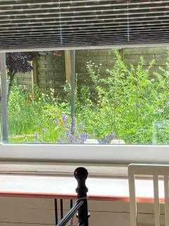 Gartenzimmer zwischen den Meeren - 2