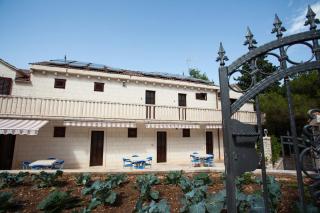 White house in the forest - 6