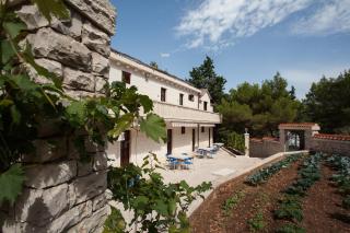 White house in the forest - Pučišća - 4
