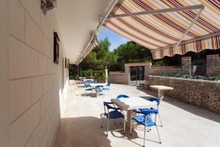 White house in the forest - 3