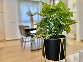 La Masion de Tout Seasonal Rental - 3