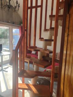Sallys Cabin - Kilcolgan - 1