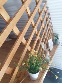 Sallys Cabin - Kilcolgan - 3