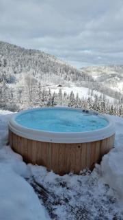 Chalet Terejo & spa - Ventron - 7