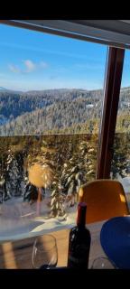 Vila Ruža Sunčani Breg - Kopaonik - 1