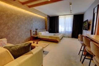 Tramontana Kopaonik Woodside 201, FREE Parking & SPA - Kopaonik - 5
