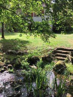 Ancient Mill with Beautiful Lake and Streams - 8