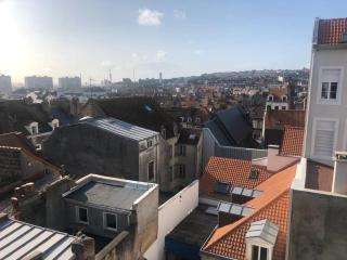 Petit nid sur la côte - Boulogne-sur-Mer - 2