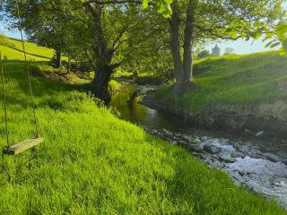 Dôl Swynol Glamping Luxury cabin with outdoor bath - Aberystwyth - 6