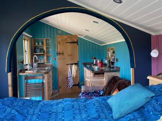 Dôl Swynol Glamping Luxury cabin with outdoor bath - 3