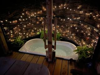 Dôl Swynol Glamping Luxury cabin with outdoor bath - 1