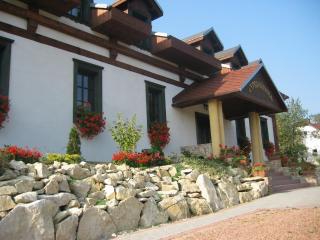 Cyprianówka - Warszowice - 8