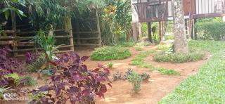Family villa is a hut style accommodation - Tariyod - 4