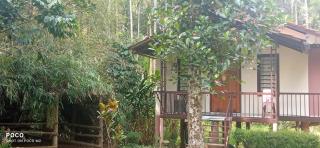 Family villa is a hut style accommodation - Tariyod - 3