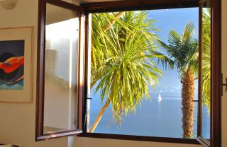 Apartment The Palm with Garden - 1