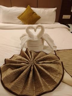 Hotel 5 Flowers Ananta Elite - 5