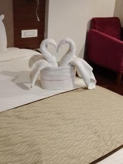 Hotel 5 Flowers Ananta Elite - 4