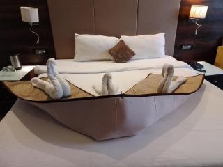 Hotel 5 Flowers Ananta Elite - 3
