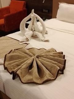 Hotel 5 Flowers Ananta Elite - Kota - 3