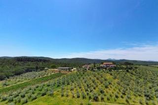 Agriturismo Baia degli Ulivi - Massa Marittima - 5
