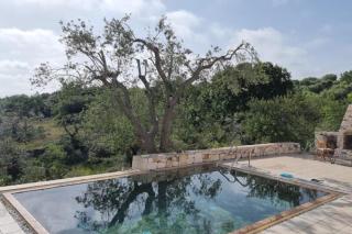 Trullo Piccola Lucertola in Valle d’Itria… - Ceglie Messapica - 0