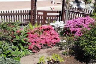 Bungalow blühende Oase - 7