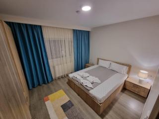 City Premium Apartments - Timişoara - 1