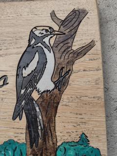 Casa vacanze il Picchio Rosso - 1