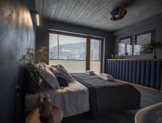 Aspen Deluxe Residence & ASPEN cottage - Mienzebrosche - 2