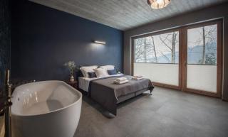 Aspen Deluxe Residence & ASPEN cottage - Mienzebrosche - 1